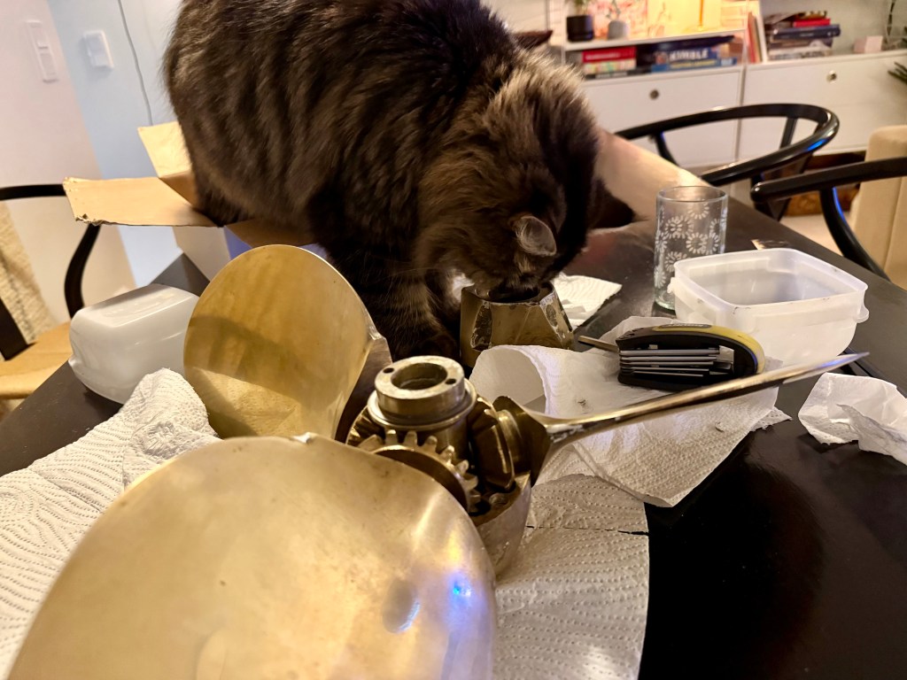 Erään potkuriasennuksen epikriisi